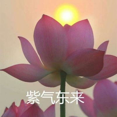 勇士x勇士果盘版下载
