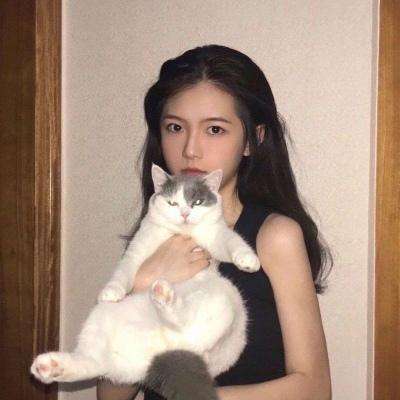 心音计划手游下载